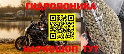круглые Пушкино