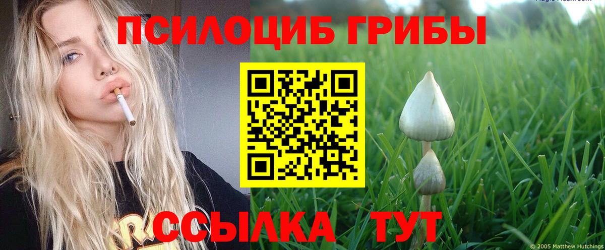 Галлюциногенные грибы мухоморы  Вход с VPN  Семилуки 